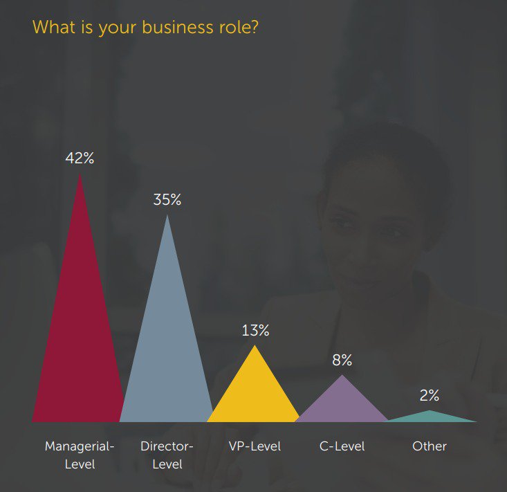 B2B Commerce Decision Makers